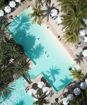 The Ravenala Attitude-1